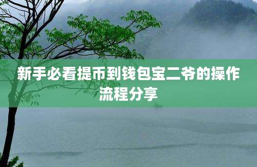 新手必看提币到钱包宝二爷的操作流程分享