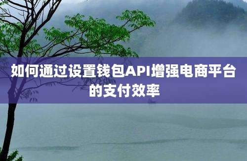 如何通过设置钱包API增强电商平台的支付效率