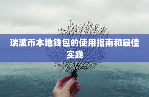 瑞波币本地钱包的使用指南和最佳实践