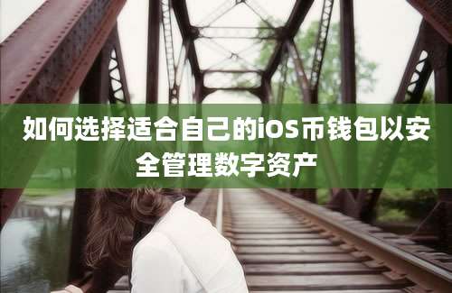 如何选择适合自己的iOS币钱包以安全管理数字资产