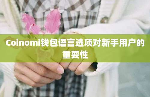 Coinomi钱包语言选项对新手用户的重要性