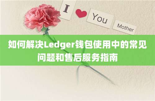 如何解决Ledger钱包使用中的常见问题和售后服务指南