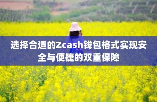 选择合适的Zcash钱包格式实现安全与便捷的双重保障