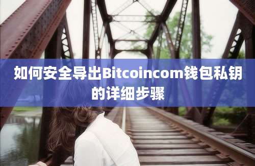 如何安全导出Bitcoincom钱包私钥的详细步骤