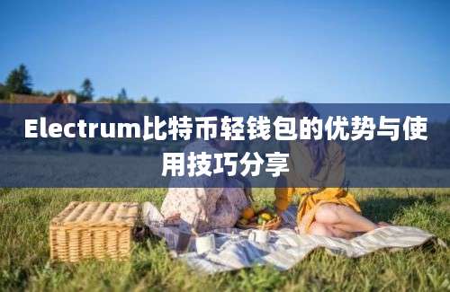 Electrum比特币轻钱包的优势与使用技巧分享