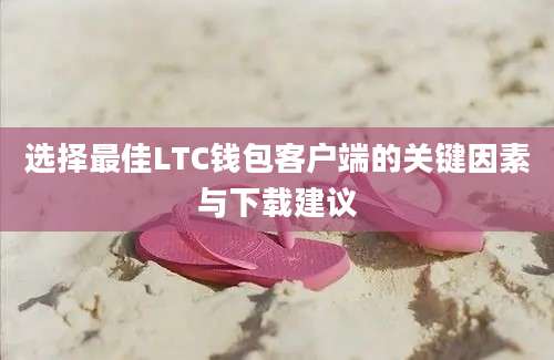 选择最佳LTC钱包客户端的关键因素与下载建议