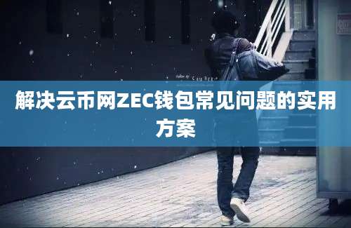 解决云币网ZEC钱包常见问题的实用方案