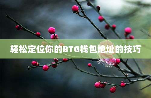 轻松定位你的BTG钱包地址的技巧