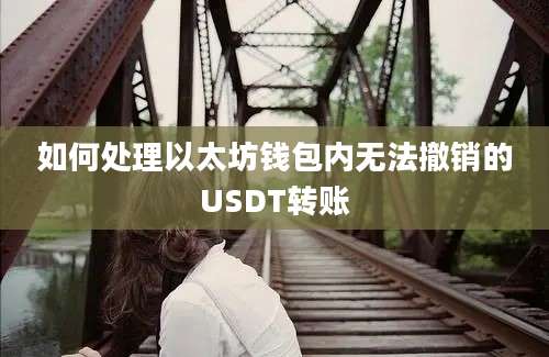 如何处理以太坊钱包内无法撤销的USDT转账