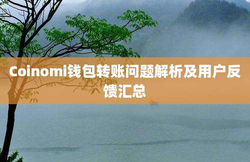 Coinomi钱包转账问题解析及用户反馈汇总