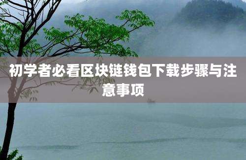 初学者必看区块链钱包下载步骤与注意事项